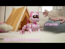 youtube - [Video]
