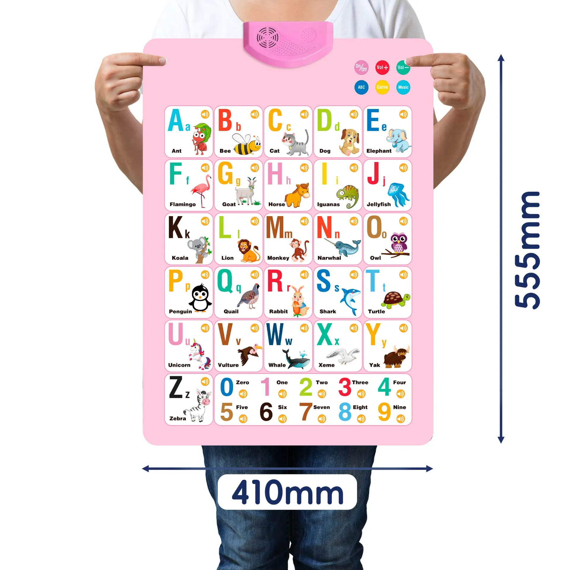 Wall Chart
